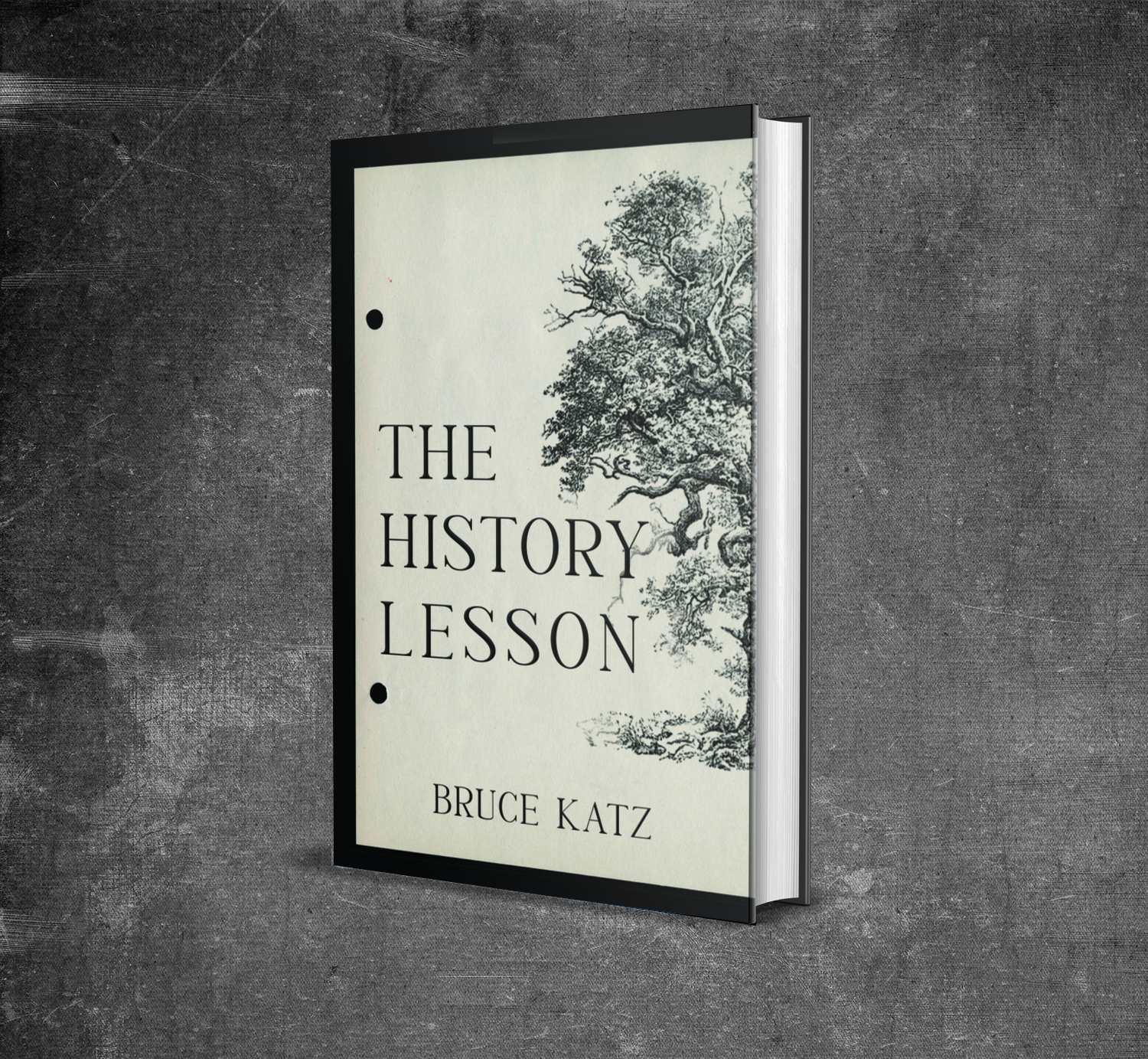 the history lesson cover design